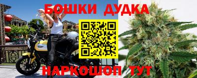 крисы Шебекино