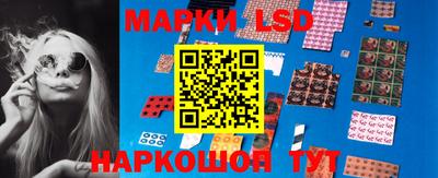 крисы Шебекино