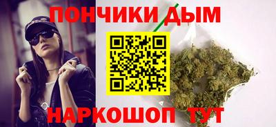 крисы Шебекино