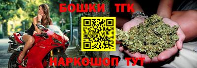 крисы Шебекино