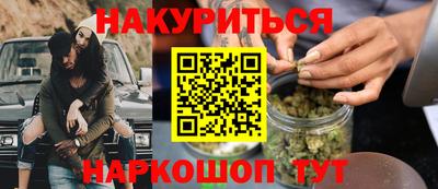 крисы Шебекино