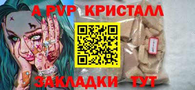 крисы Шебекино