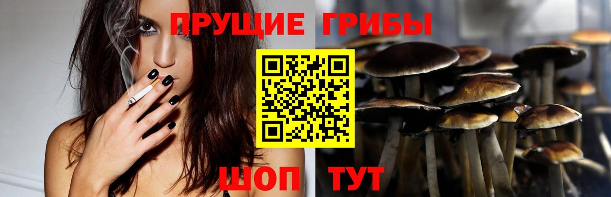 Псилоцибиновые грибы прущие грибы  Вход с VPN  купить   Чехов 