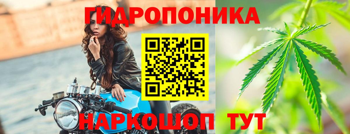 Бошки Шишки тримм Чехов
